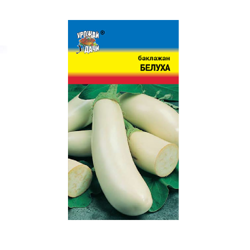 Баклажан Белуха  0_3гр_10