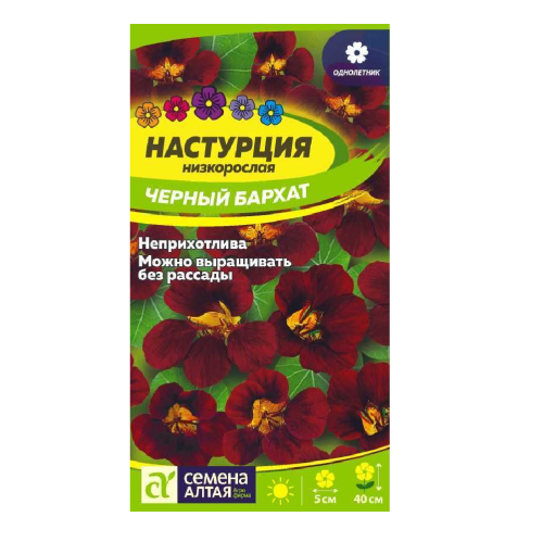Настурция Черный бархат 0_5-1гр_10