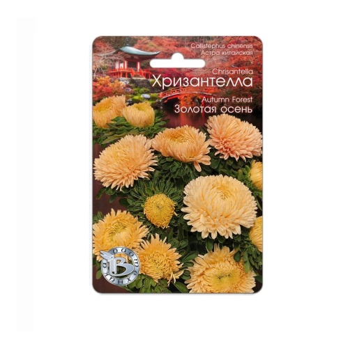 Астра Хризантелла Золотая осень  30шт_5