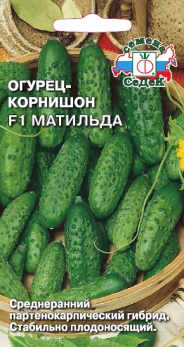 Огурец Матильда F1  0_2гр_10