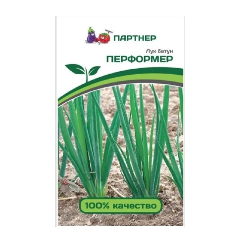 Лук батун Перформер  1гр _10