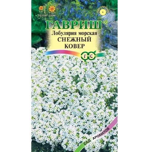 Лобулярия Снежный ковер морская 0_05гр_10