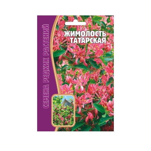 Жимолость Татарская  15шт_5