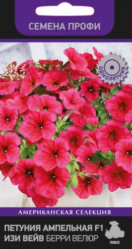 Петуния Изи Вейв Берри Велюр F1 ампельная  5шт_10