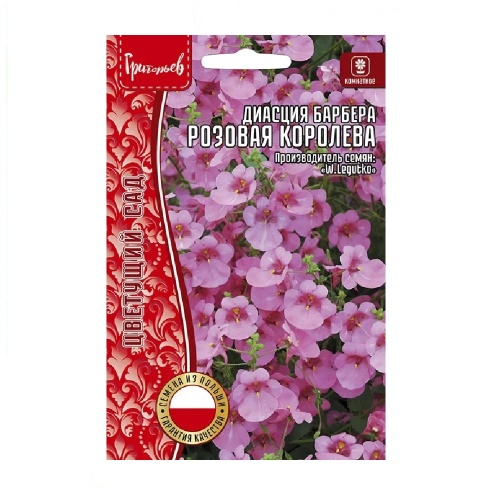 Диасция Розовая Королева барбера 0_01гр_10