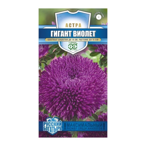 Астра Гигант виолет_Русский богатырь  0_05гр_10
