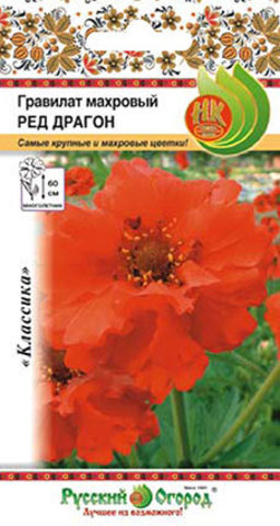 Гравилат Ред Драгон махровый  15шт_10_200