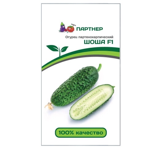 Огурец Шоша F1  5шт_10