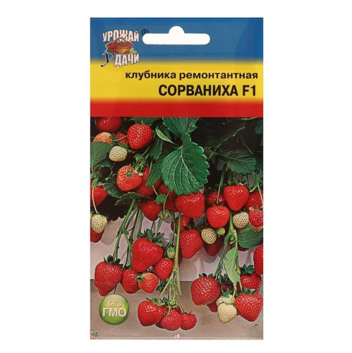 Клубника Сорваниха F1  5шт_10