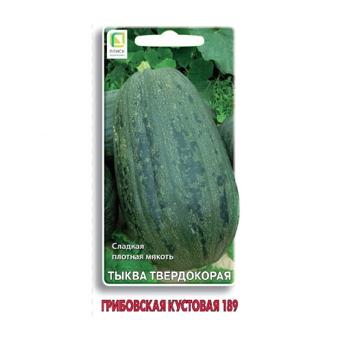 Тыква Грибовская Кустовая 189 10шт  _10