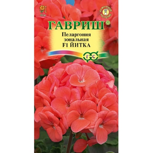 Пеларгония зональная Йитка F1 гранула  4шт  _10