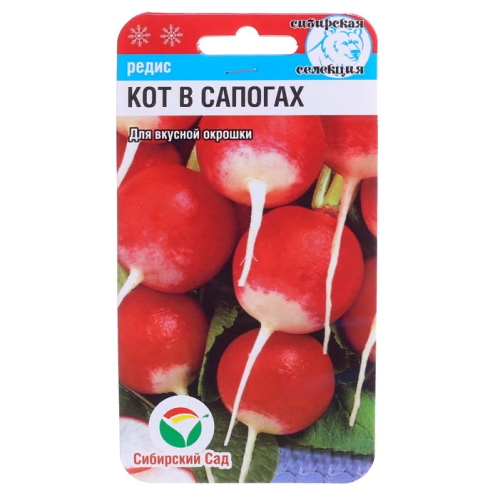 Редис Кот в сапогах  2гр_10