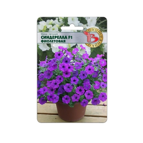 Петуния Синдерелла F1 фиолетовая мелкоцветковая  15шт_5_10