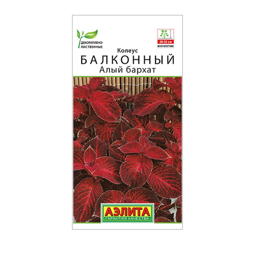 Колеус балконный Алый бархат 5шт_10