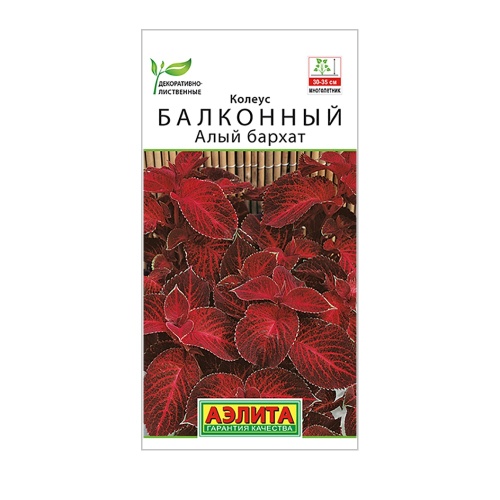 Колеус балконный Алый бархат 5шт_10