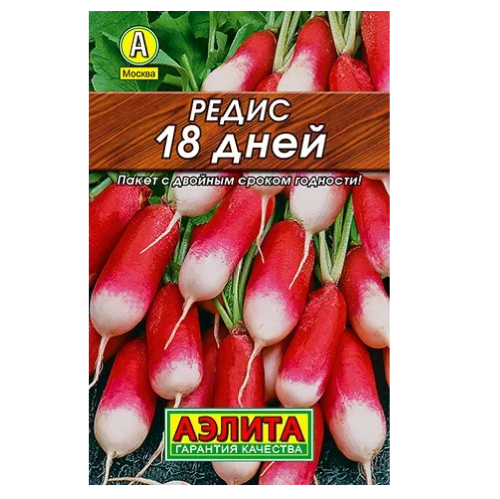 Редис 18 дней  2гр_10