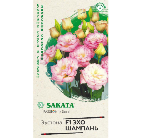 Эустома Эхо Шампань F1  4шт_10