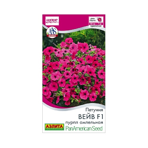 Петуния Вейв F1 пурпл ампельная 4шт _10