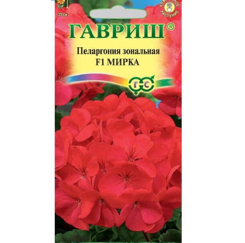 Пеларгония зональная Мирка F1 гранула  4шт  _10