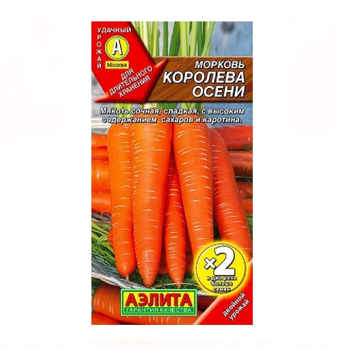 Морковь Королева осени 4гр  _10