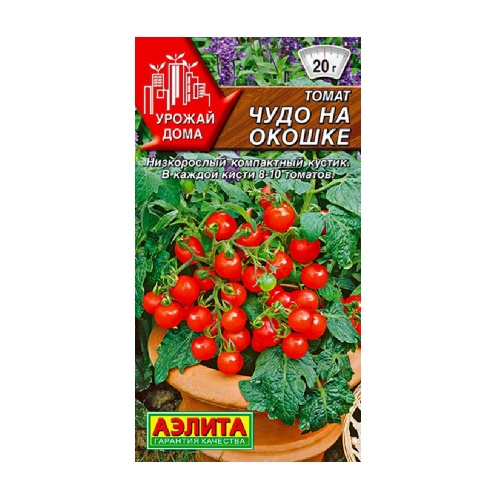 Томат Чудо на окошке  20шт_10