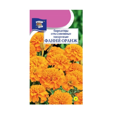 Бархатцы Фанни Оранжевые отклоненные махровые 0_2гр_10