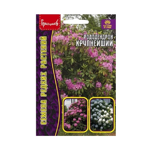 Рододендрон крупнейший  0_01гр _10