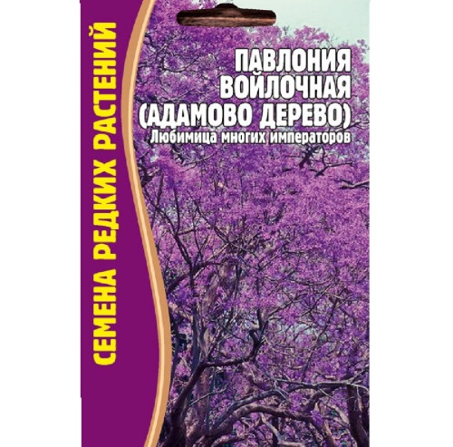 Павлония войлочная (Адамово дерево)  20шт_10