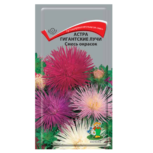 Астра Гигантские лучи смесь  0_3гр_10