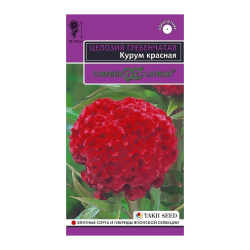 Целозия Курум красная гребенчатая  8шт_10