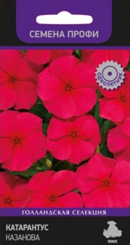 Катарантус Казанова  10шт_10