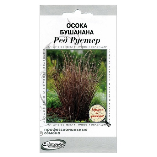 Осока Бушанана Ред Рустер 3шт_10