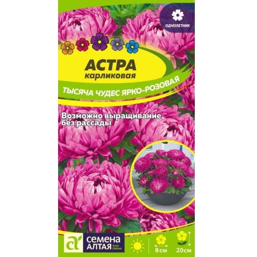 Астра Тысяча чудес ярко-розовая карликовая 0_15-0_2гр _10