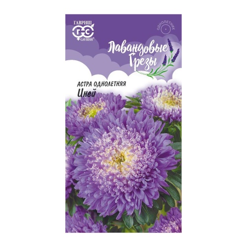 Астра Иней_Лавандовые грезы  0_3гр_10