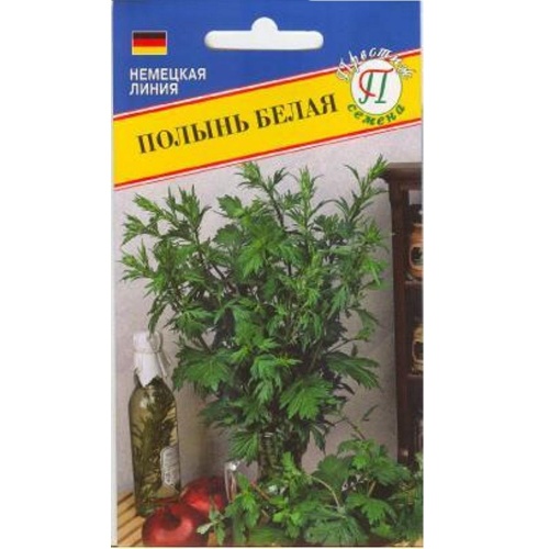 Полынь белая  0_1гр_10