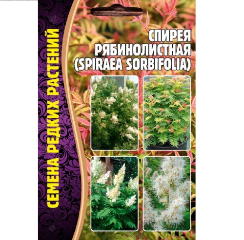 Спирея рябинолистная  0_02гр_10