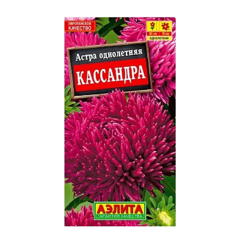 Астра Кассандра  0_2гр_10