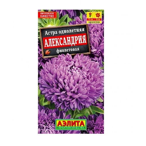 Астра Александрия фиолетовая  0_1гр_10