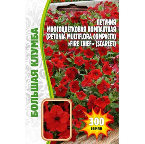 Петуния FIRE CHIEF многоцветковая  300шт_10