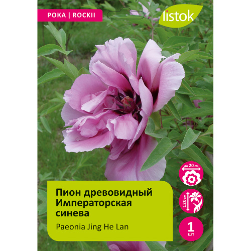 Пион древовидный Императорская синева 1шт_Paeonia Jing He Lan