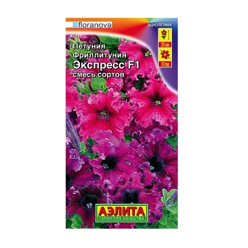 Фриллитуния Экспресс смесь окрасок 10шт   _10