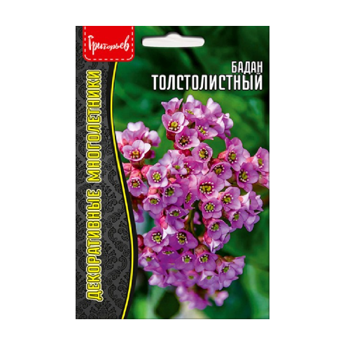 Бадан Толстолистный 0_01гр_10