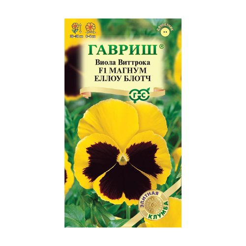 Виола Виттрока Магнум Еллоу Блотч F1  5шт_10