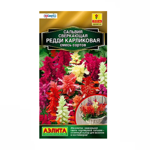 Сальвия Редди карликовая смесь окрасок  7шт_10