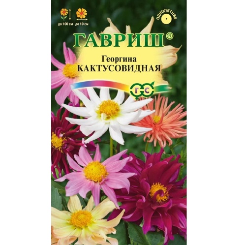 Георгина Кактусовидная смесь  0_2гр_10