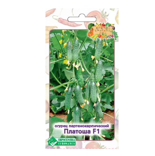 Огурец Платоша F1 партенокарпик  5шт_10