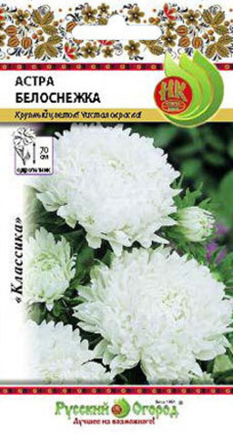 Астра Белоснежка  0_3гр_10_200