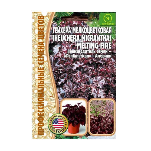 Гейхера Melting Fire мелкоцветковая  5шт_10