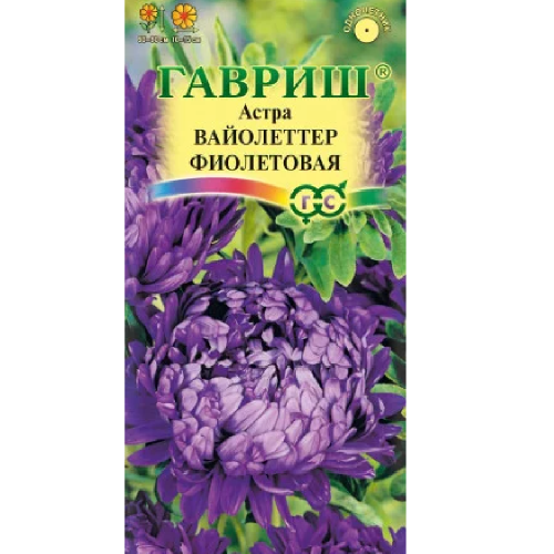 Астра Вайолеттер фиолетовая  0_3гр_10