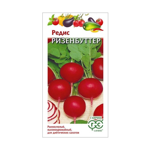 Редис Ризенбуттер  2гр_10